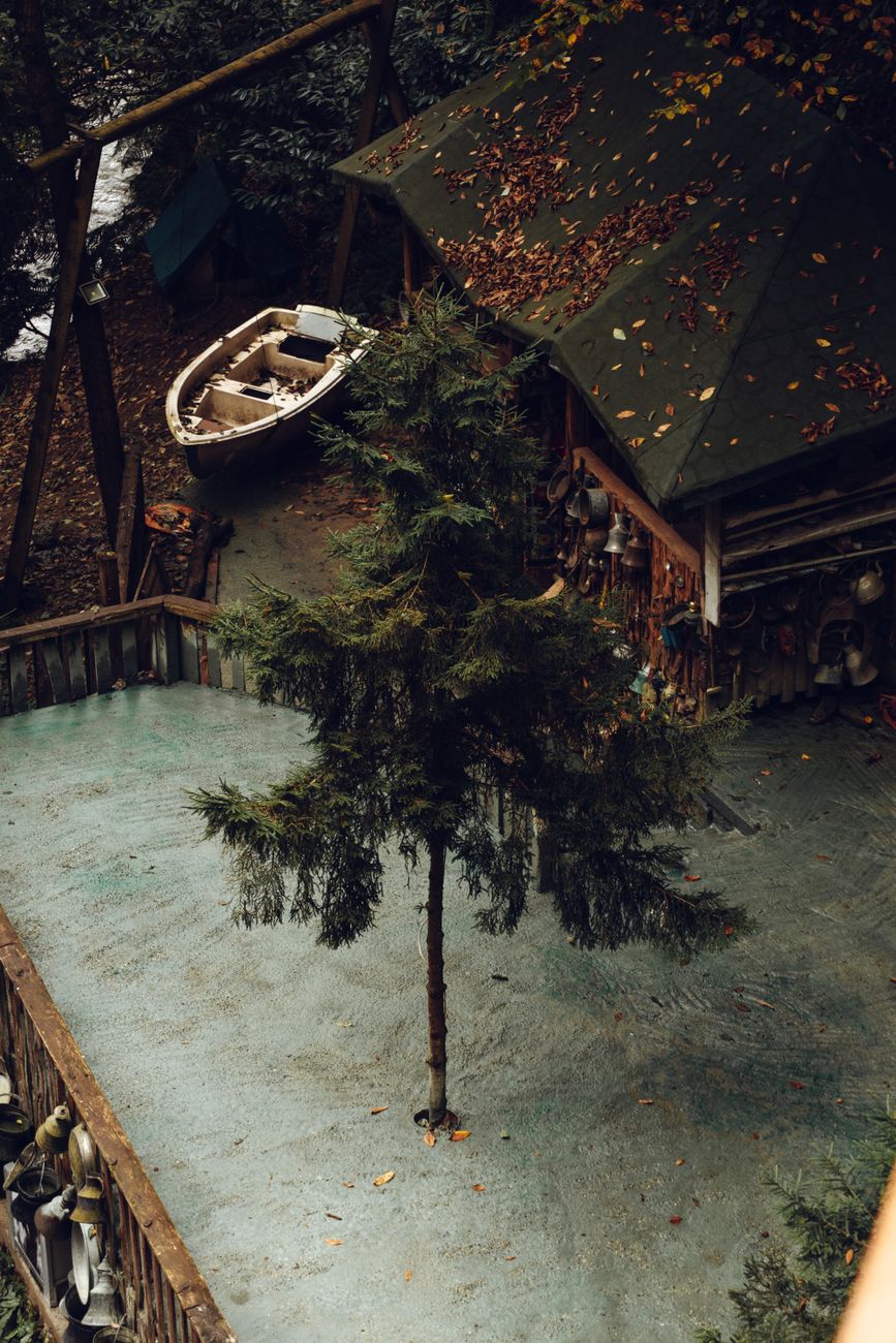 Alpine cabin retreat